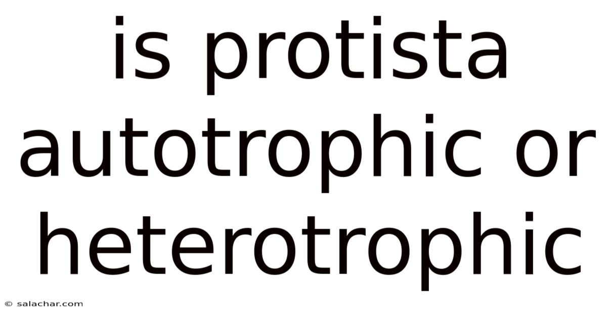 Is Protista Autotrophic Or Heterotrophic
