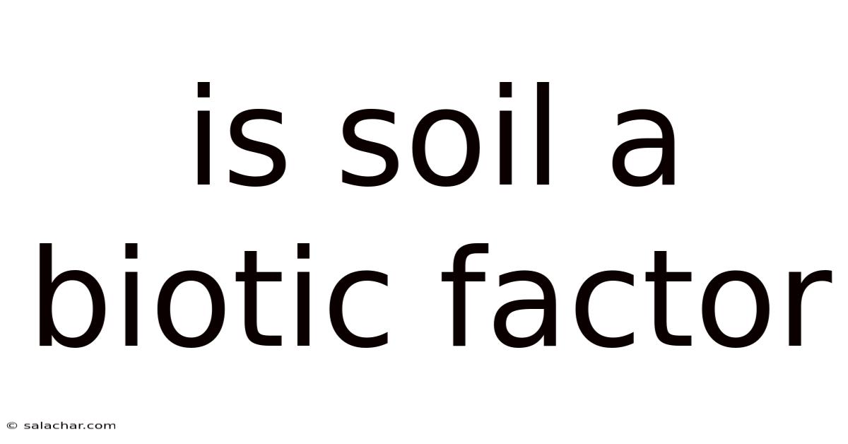 Is Soil A Biotic Factor