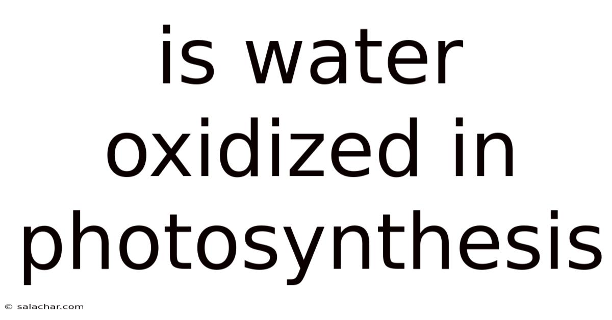 Is Water Oxidized In Photosynthesis
