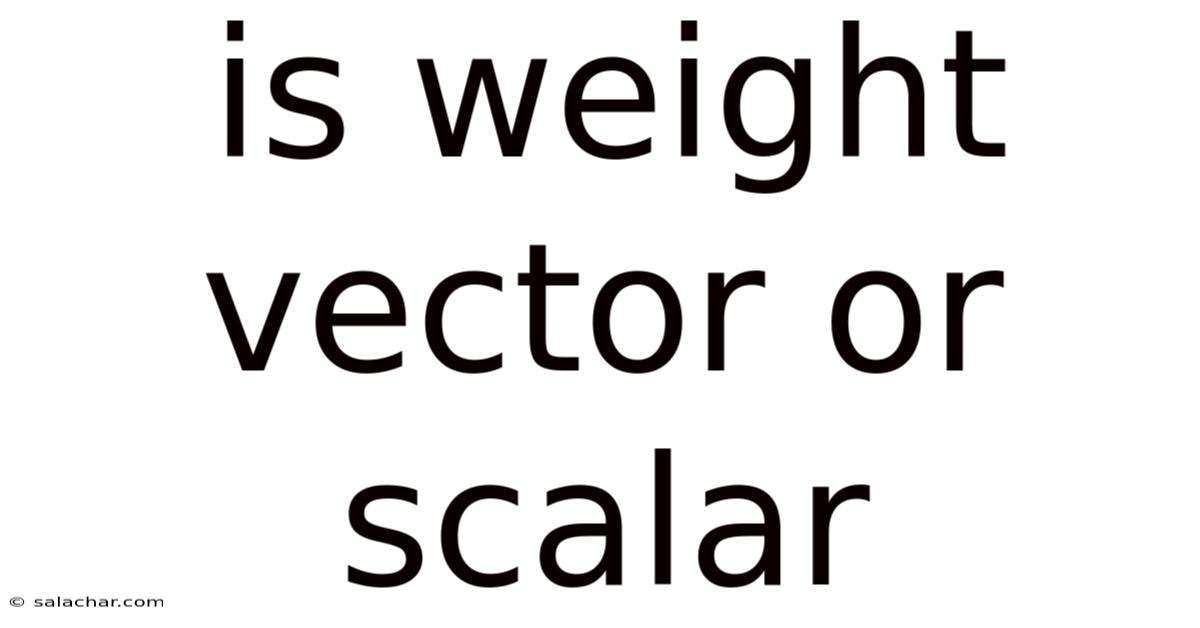 Is Weight Vector Or Scalar