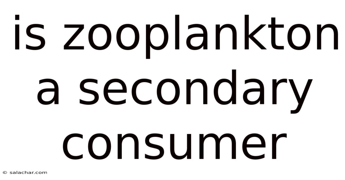 Is Zooplankton A Secondary Consumer