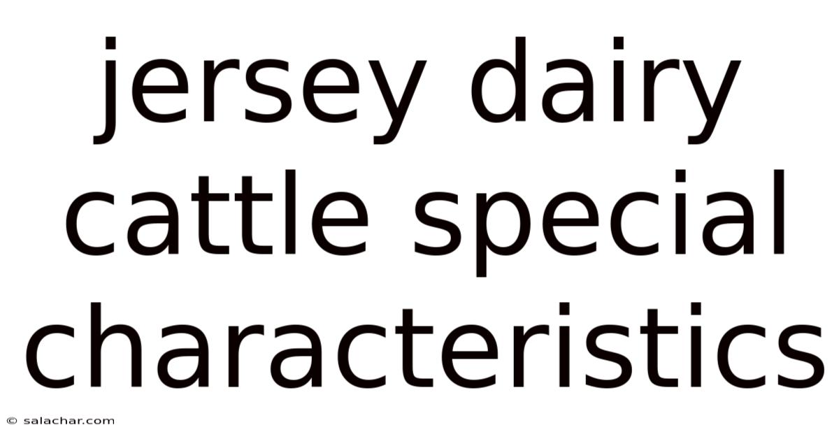 Jersey Dairy Cattle Special Characteristics