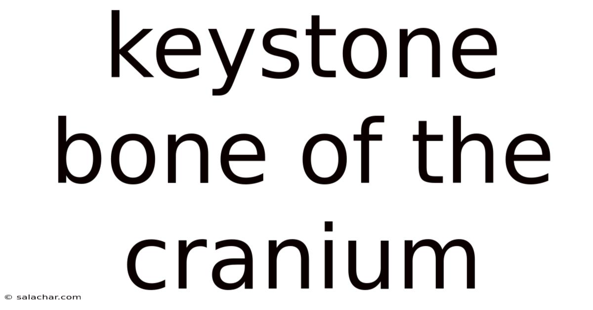 Keystone Bone Of The Cranium