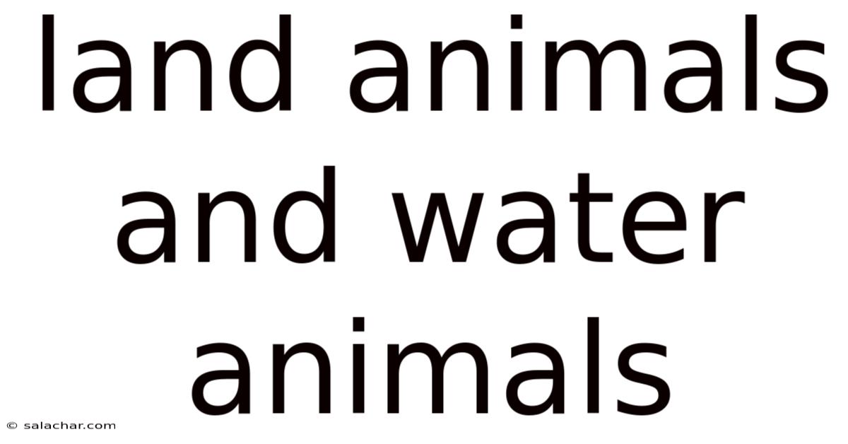 Land Animals And Water Animals