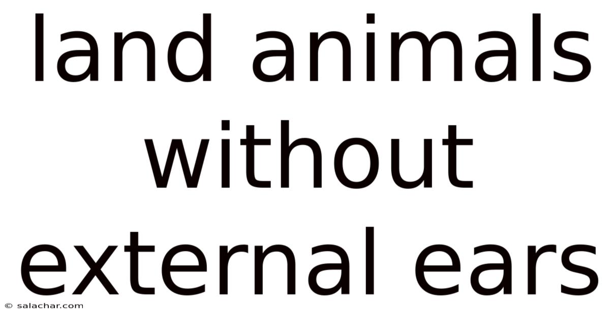 Land Animals Without External Ears