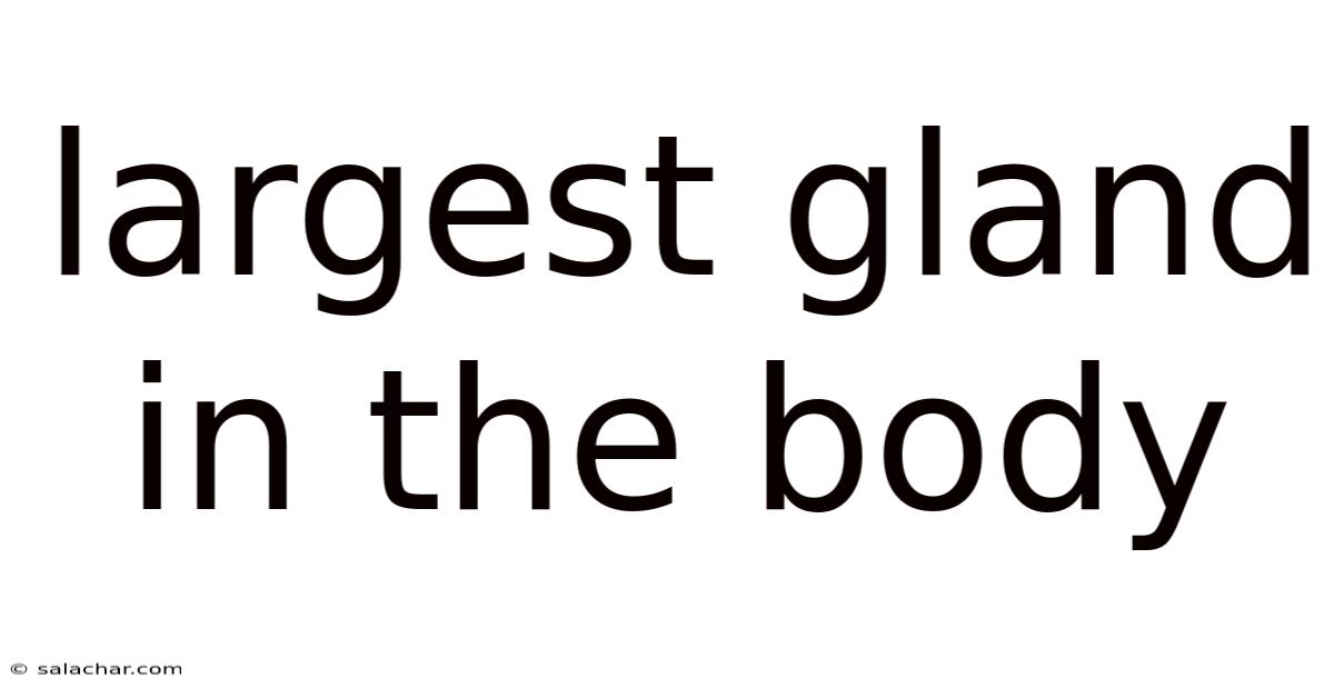 Largest Gland In The Body