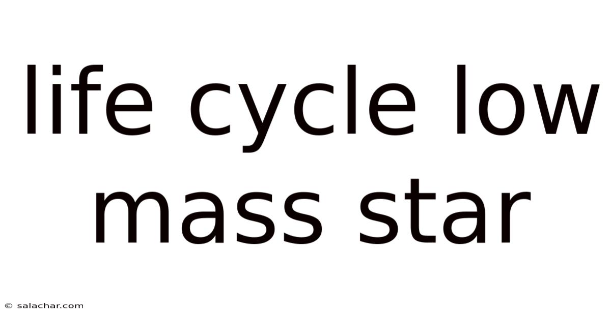 Life Cycle Low Mass Star