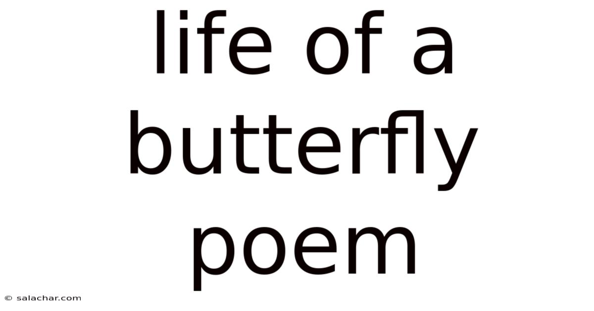 Life Of A Butterfly Poem