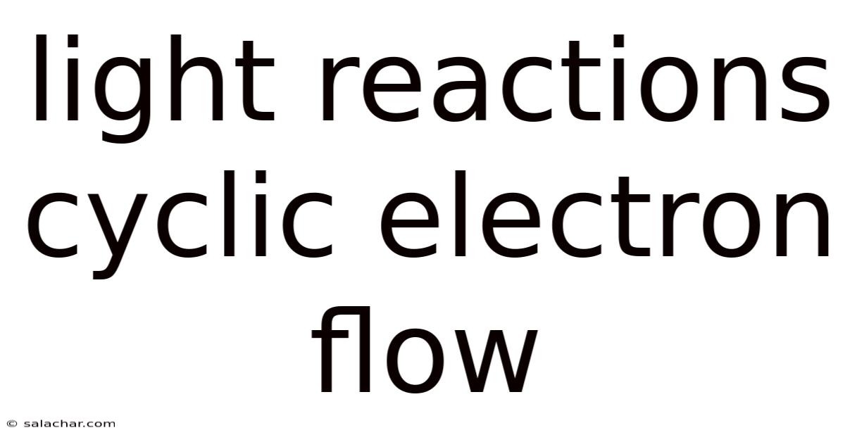 Light Reactions Cyclic Electron Flow