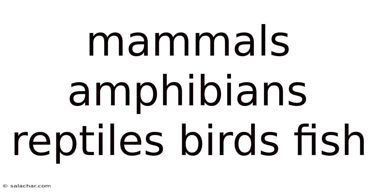 Mammals Amphibians Reptiles Birds Fish