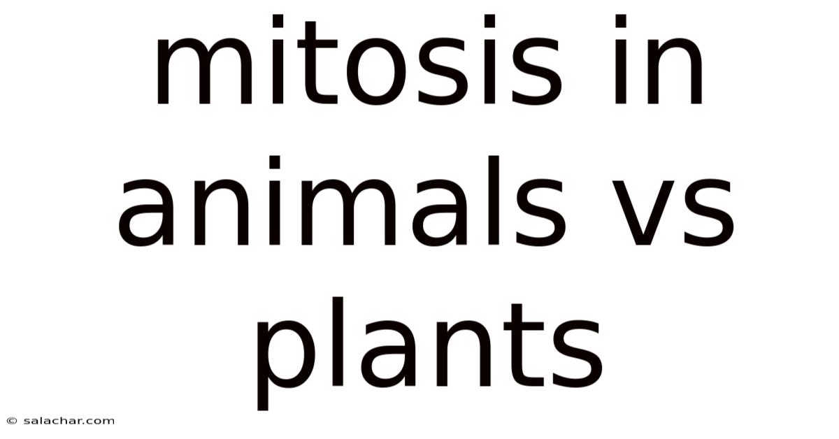 Mitosis In Animals Vs Plants