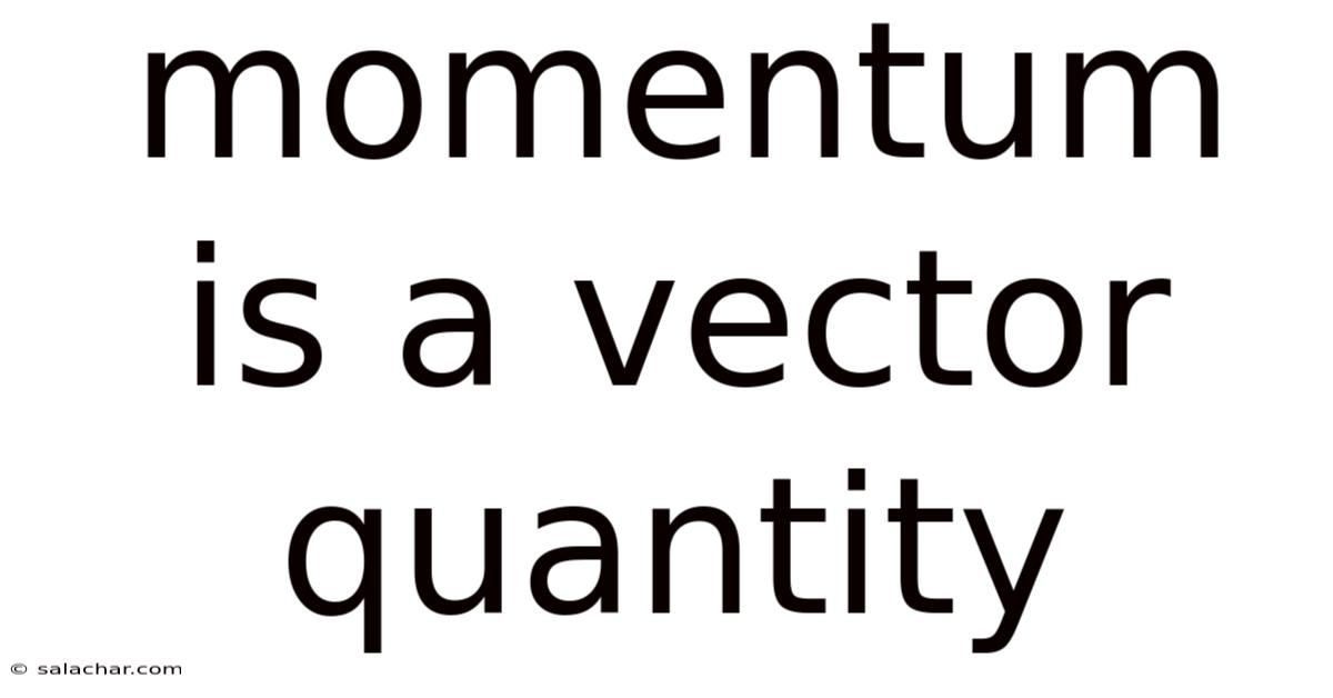 Momentum Is A Vector Quantity