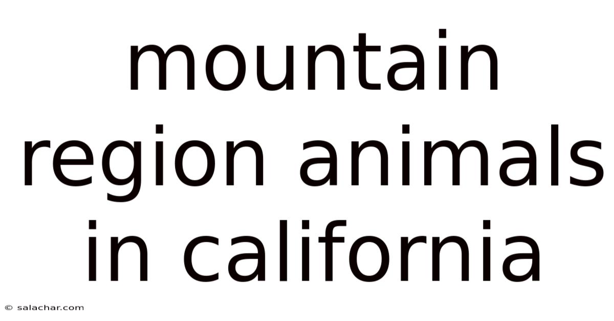 Mountain Region Animals In California