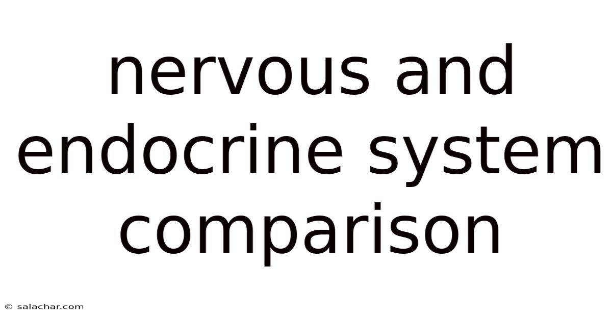 Nervous And Endocrine System Comparison
