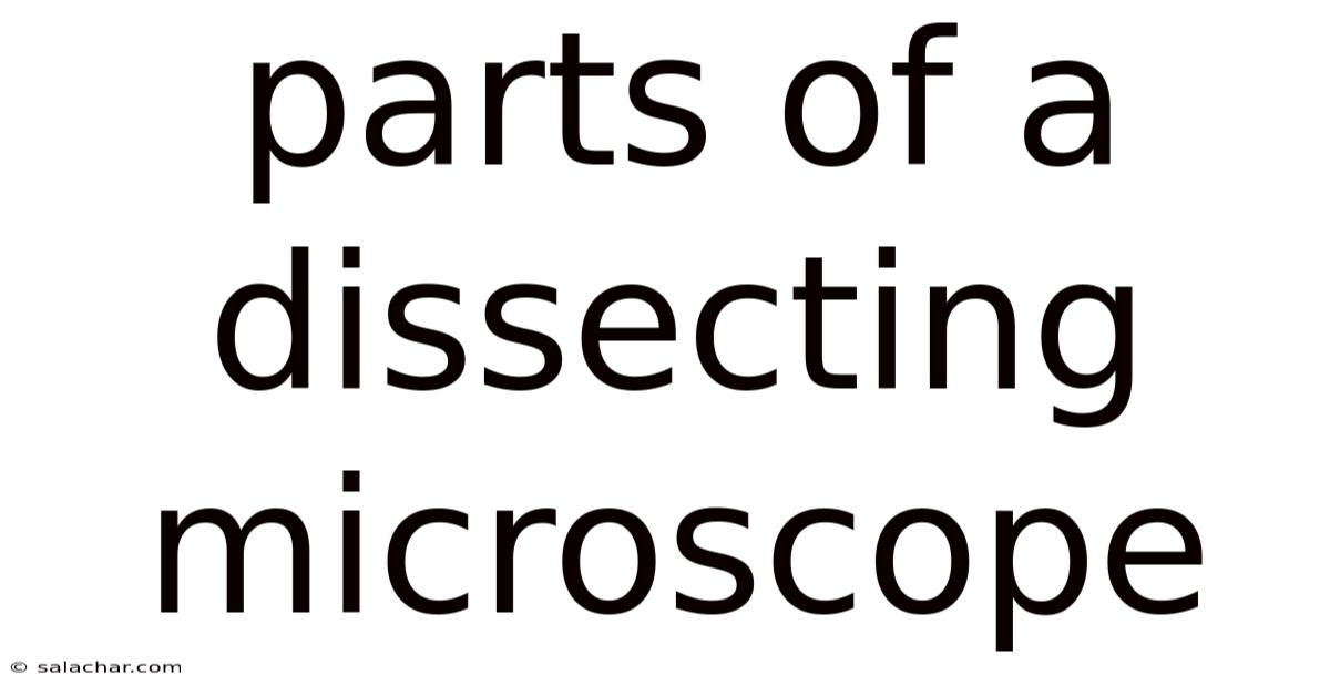 Parts Of A Dissecting Microscope