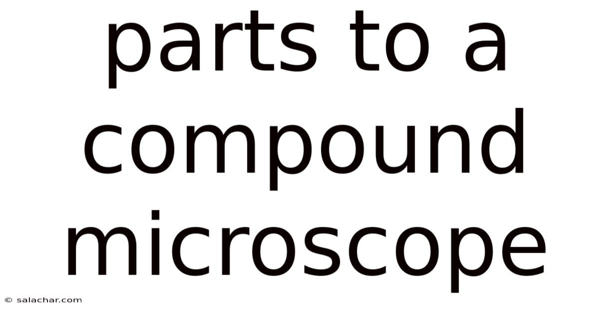 Parts To A Compound Microscope