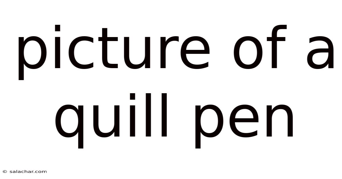 Picture Of A Quill Pen