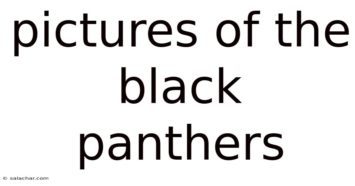 Pictures Of The Black Panthers