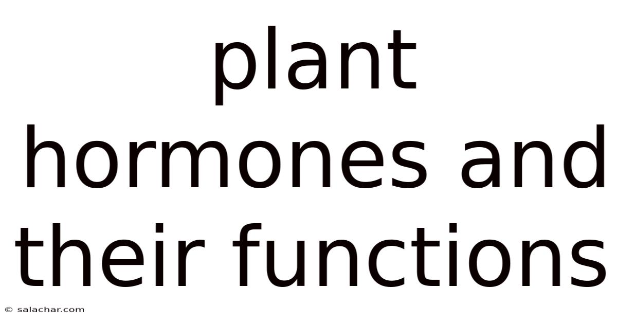 Plant Hormones And Their Functions