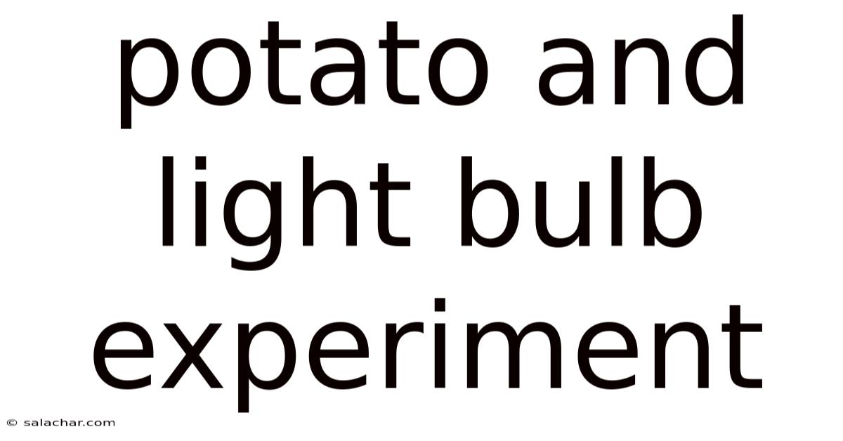 Potato And Light Bulb Experiment