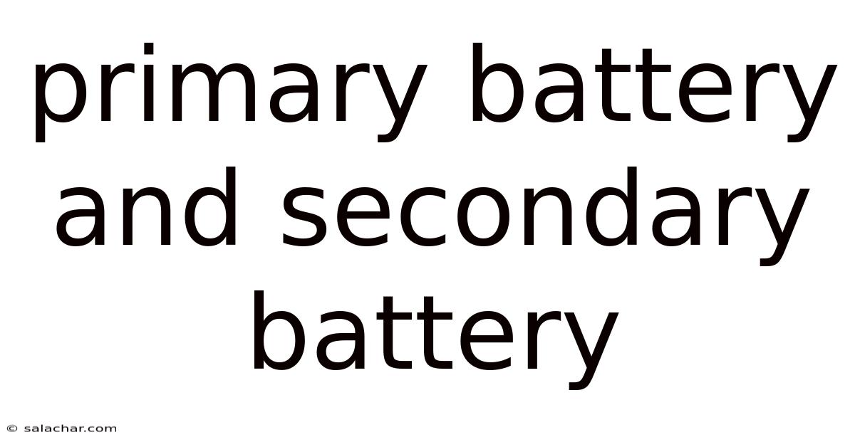 Primary Battery And Secondary Battery
