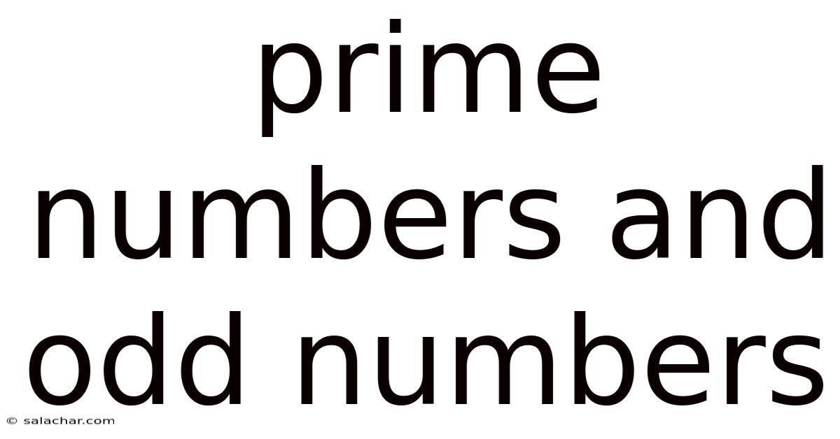 Prime Numbers And Odd Numbers