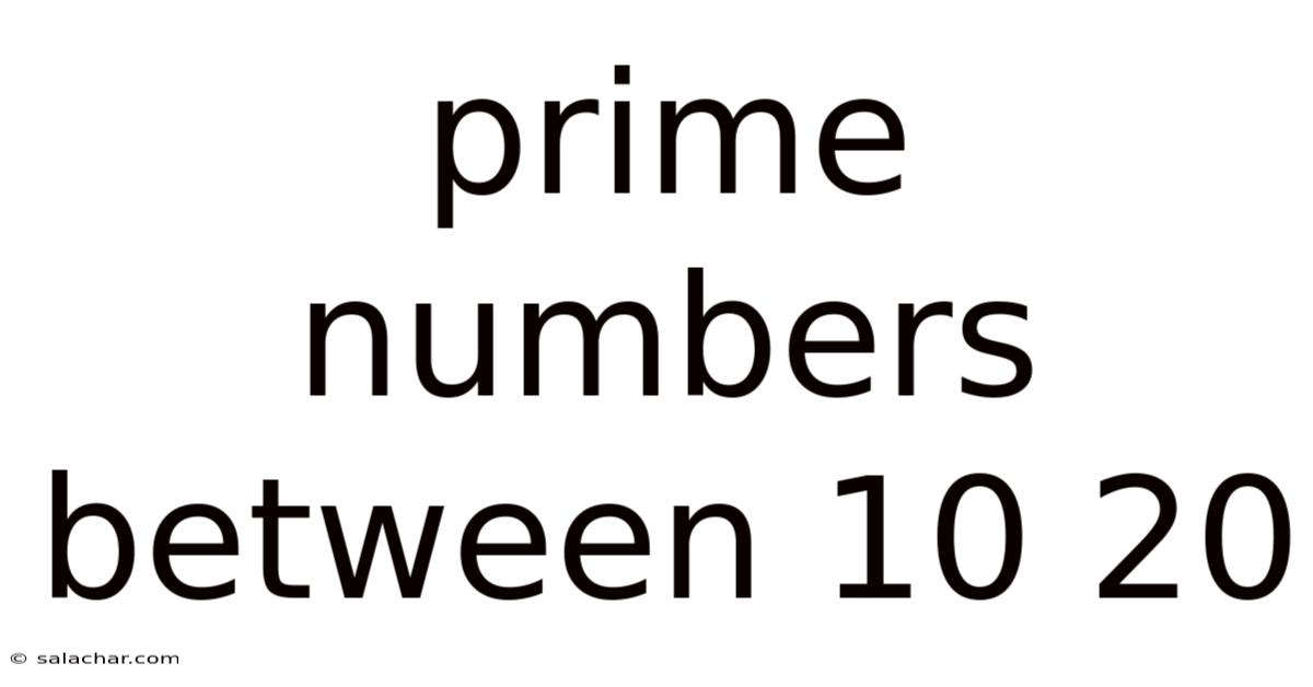 Prime Numbers Between 10 20