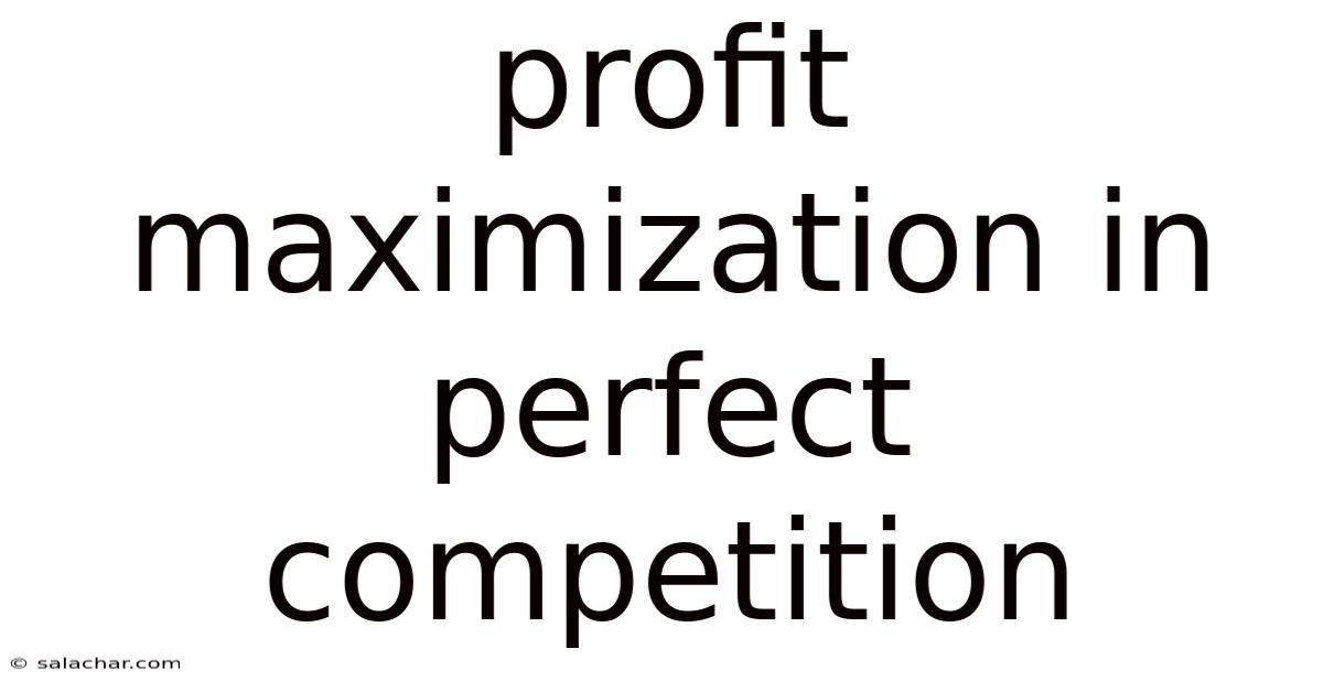 Profit Maximization In Perfect Competition