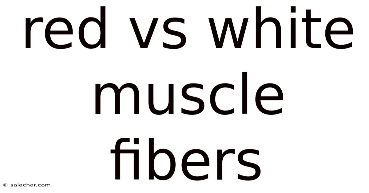 Red Vs White Muscle Fibers
