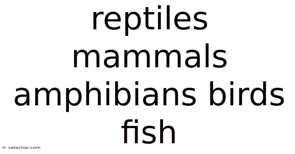 Reptiles Mammals Amphibians Birds Fish