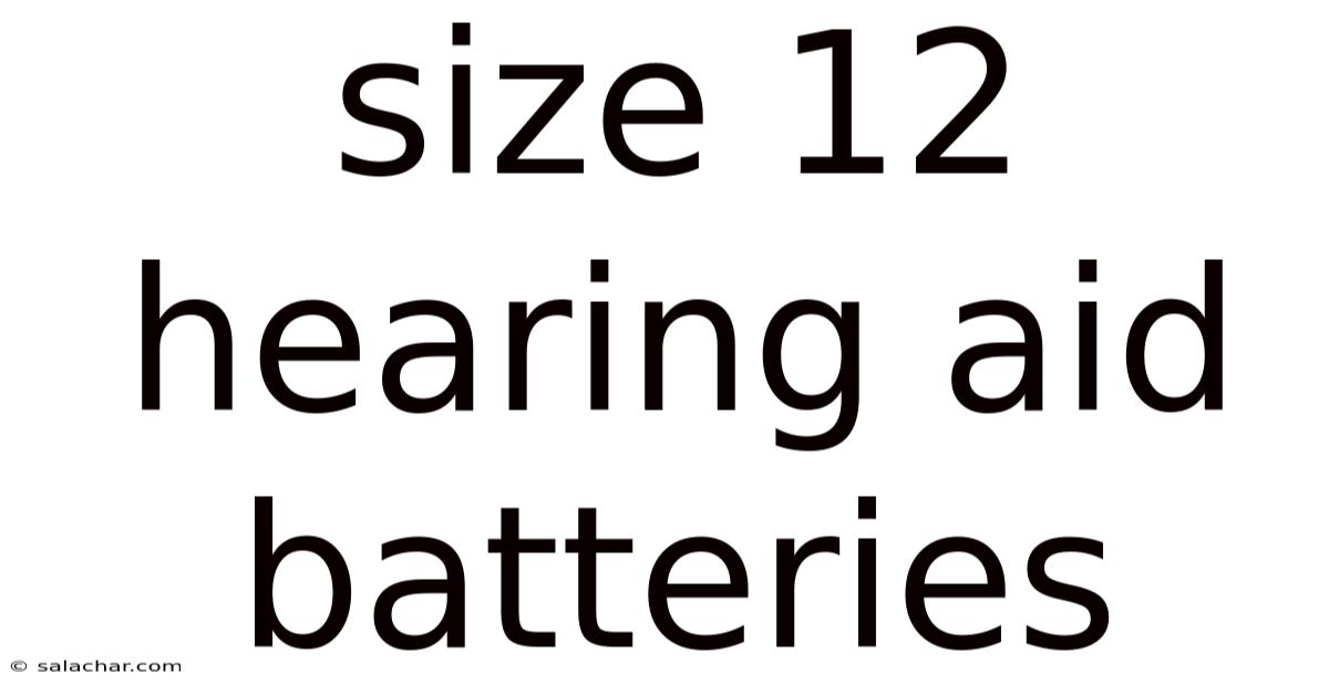Size 12 Hearing Aid Batteries