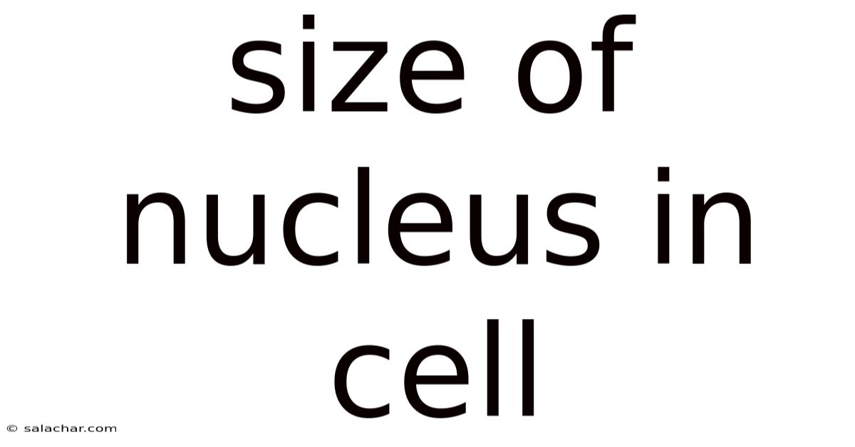 Size Of Nucleus In Cell
