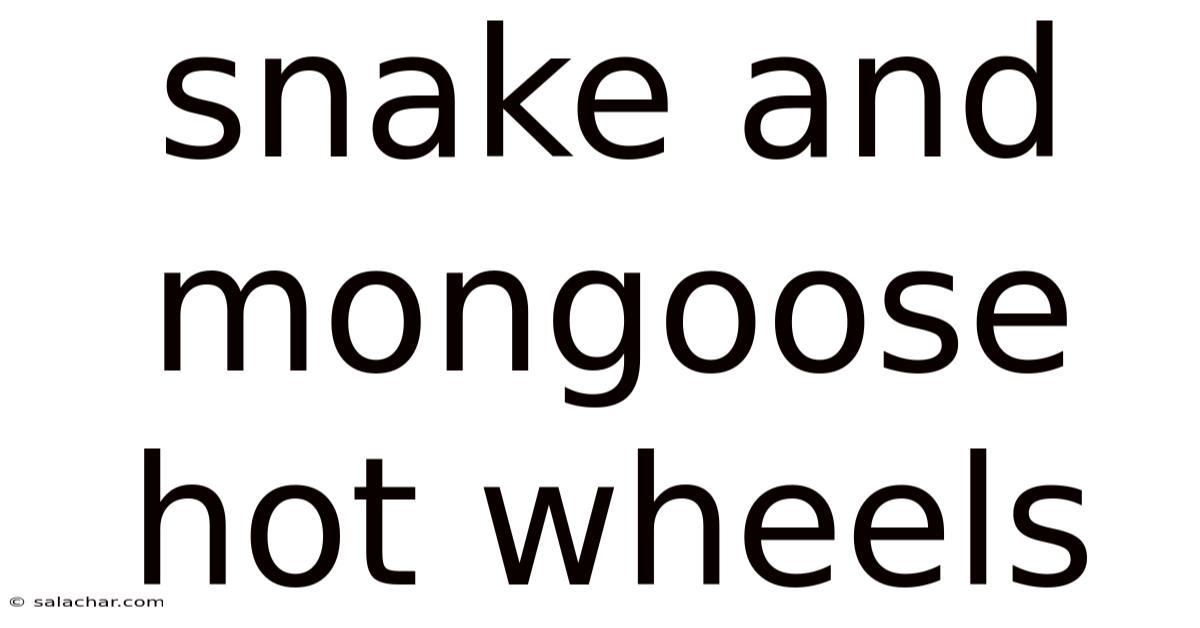 Snake And Mongoose Hot Wheels