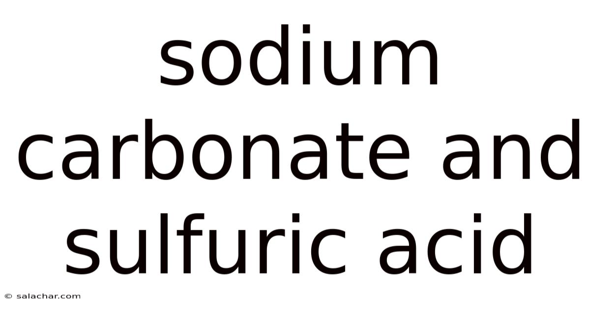 Sodium Carbonate And Sulfuric Acid