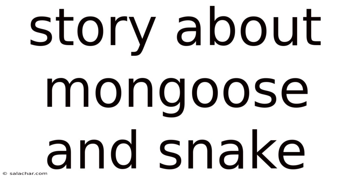 Story About Mongoose And Snake