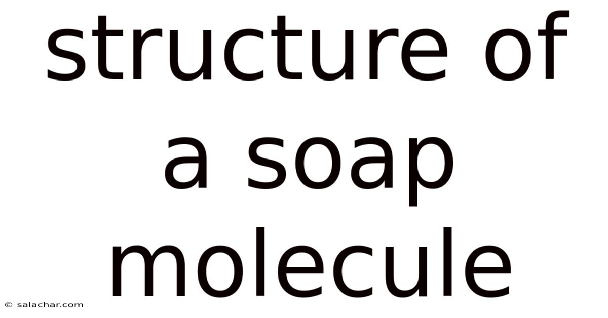 Structure Of A Soap Molecule