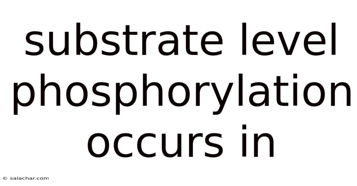 Substrate Level Phosphorylation Occurs In