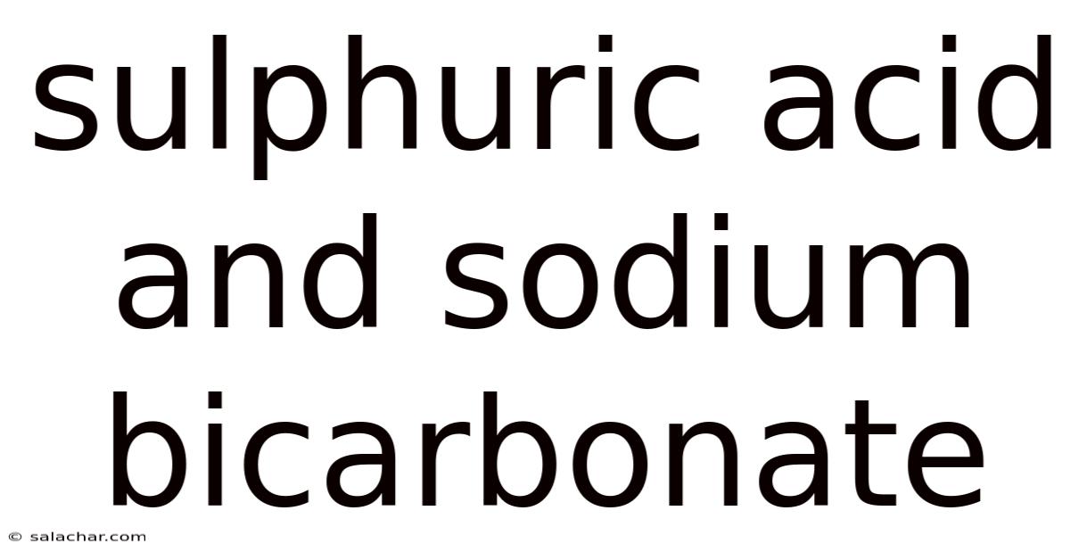 Sulphuric Acid And Sodium Bicarbonate