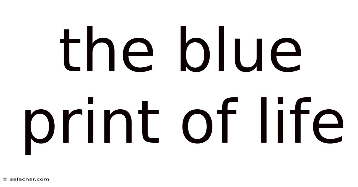 The Blue Print Of Life