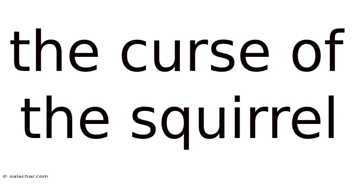 The Curse Of The Squirrel