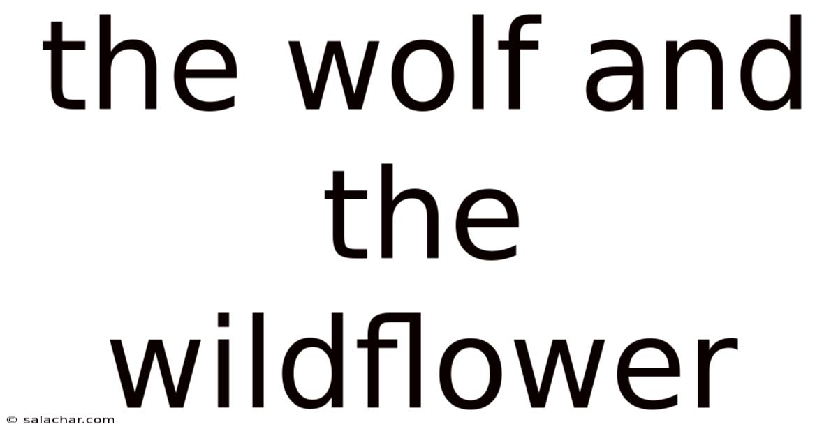 The Wolf And The Wildflower