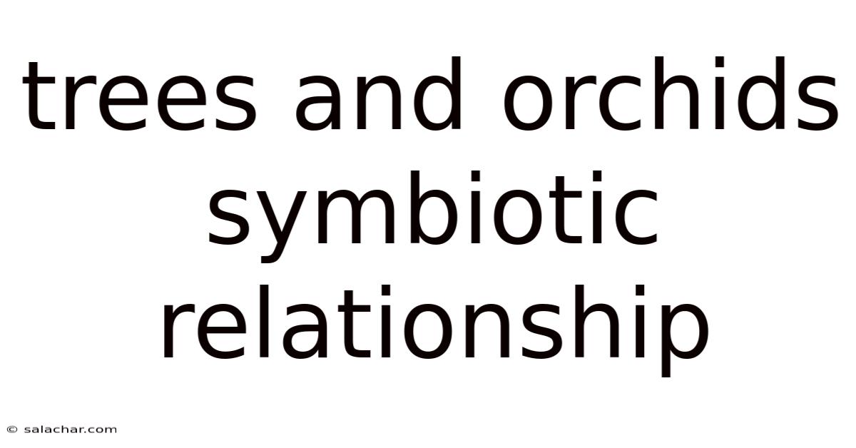 Trees And Orchids Symbiotic Relationship