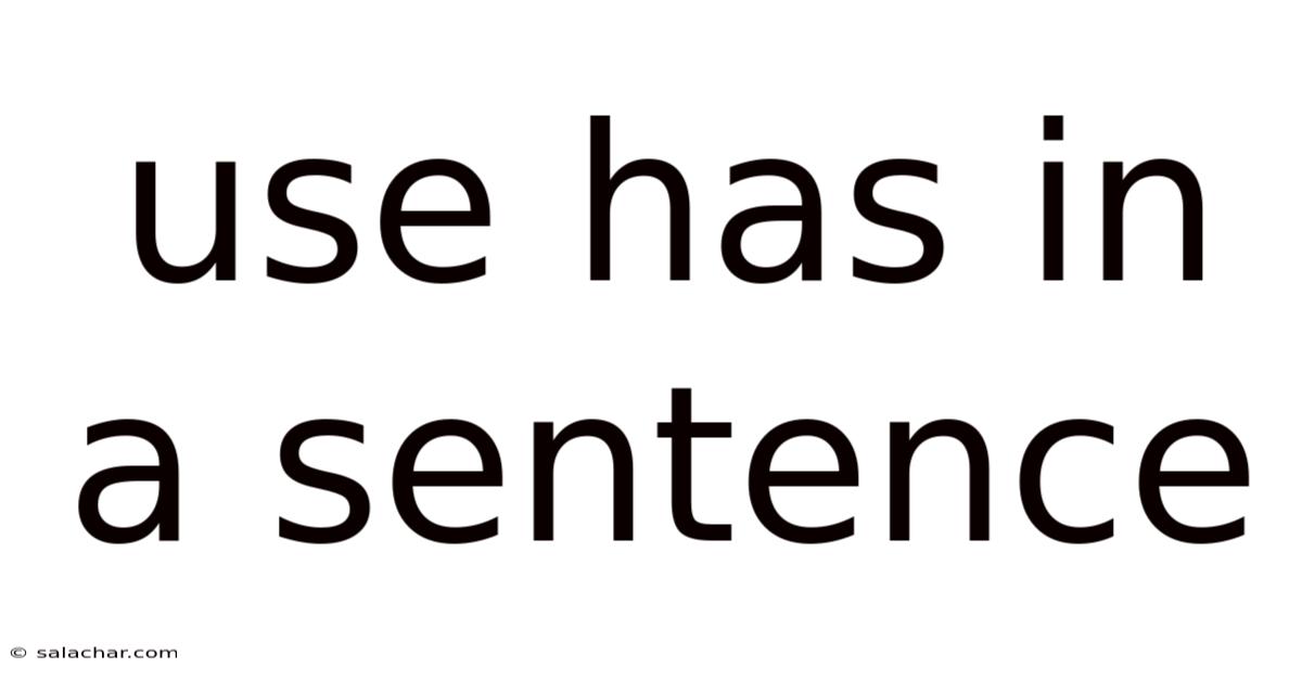 Use Has In A Sentence
