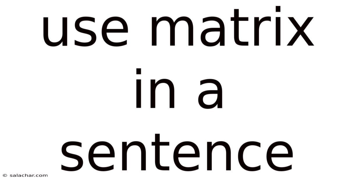 Use Matrix In A Sentence