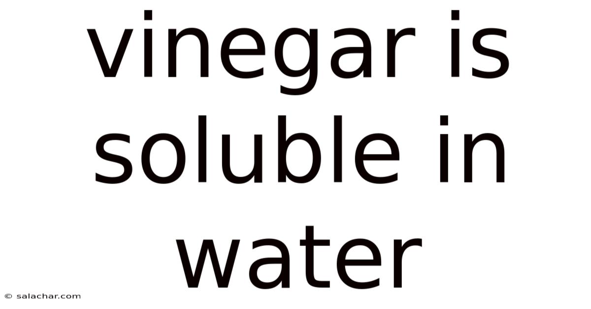 Vinegar Is Soluble In Water