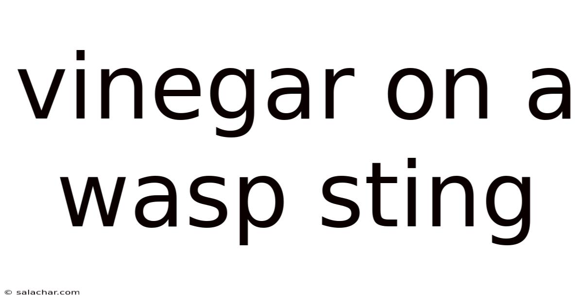 Vinegar On A Wasp Sting