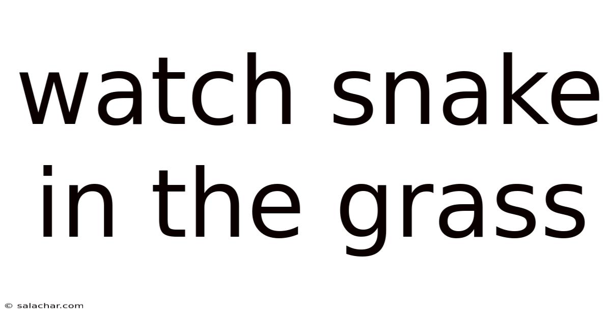 Watch Snake In The Grass