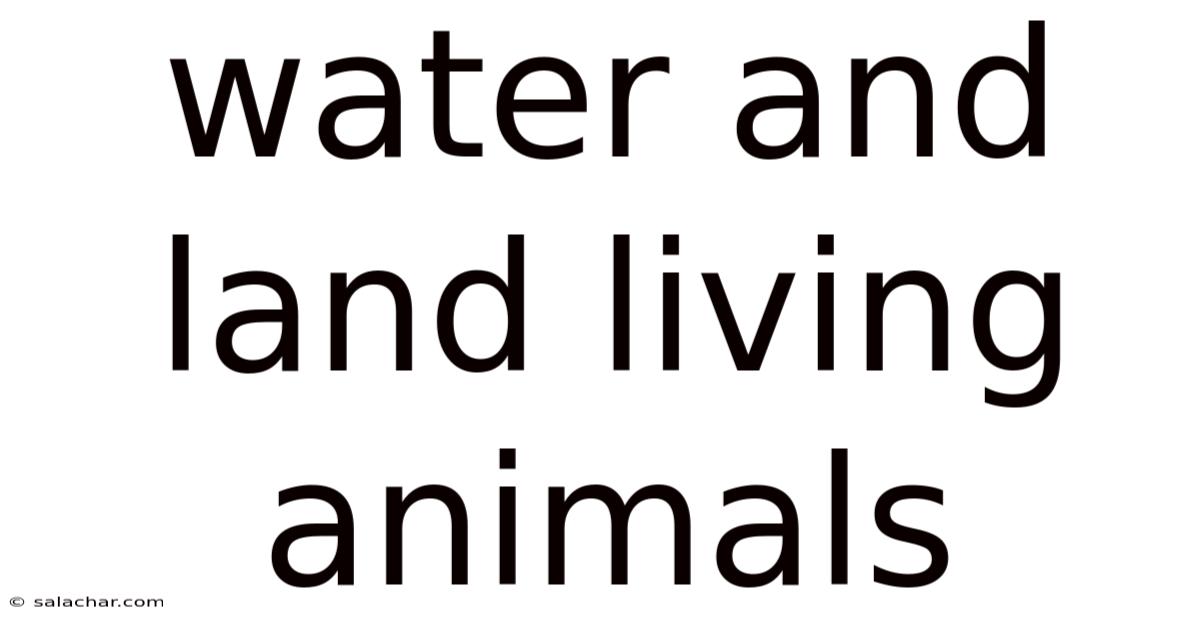 Water And Land Living Animals