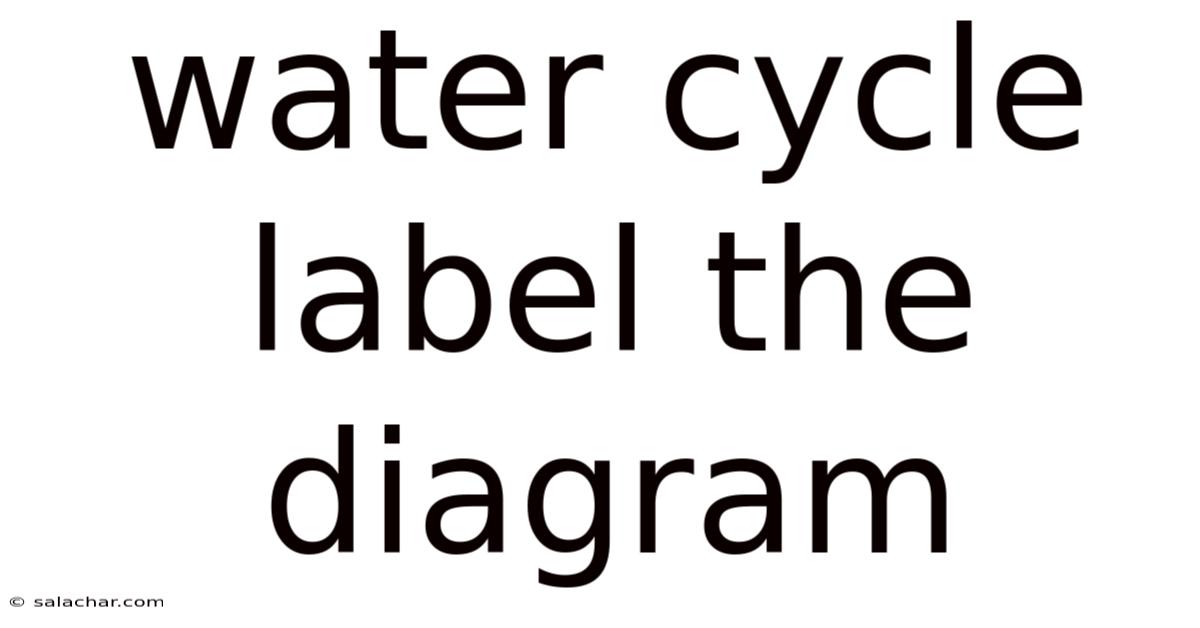 Water Cycle Label The Diagram
