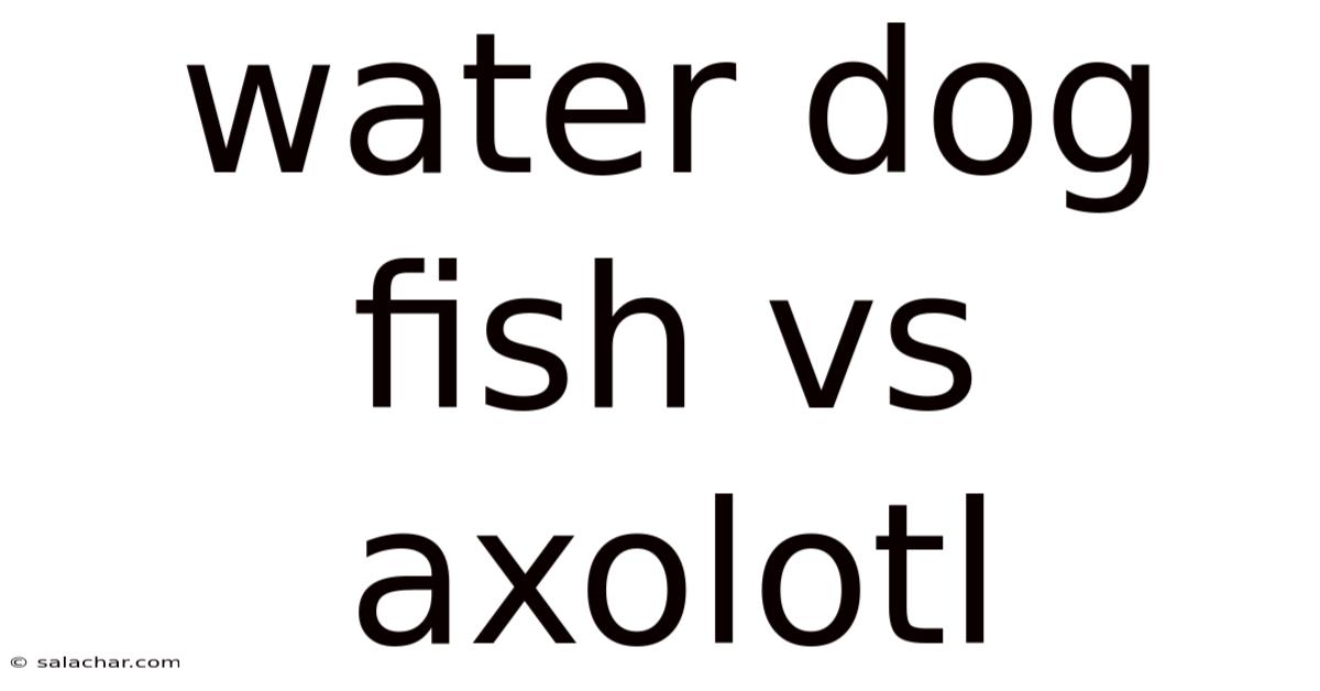 Water Dog Fish Vs Axolotl